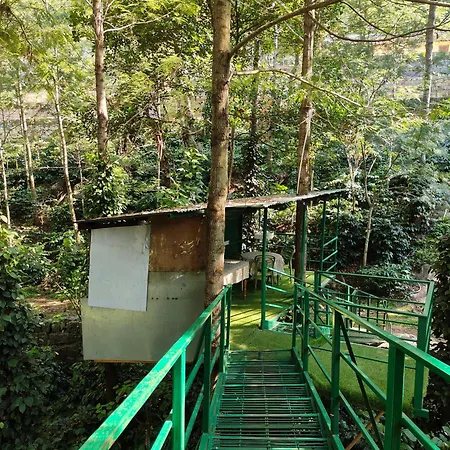Tipperary Treehouse With Valley View-2